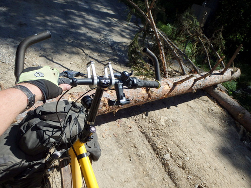 GDMBR: We had to carry our tandem across this barrier log.